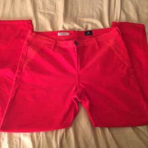 Anthropologie AG Stevie Straight Ankle Cords 32